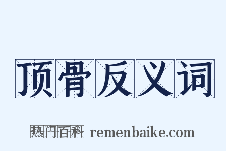 顶骨反义词是什么意思的图片